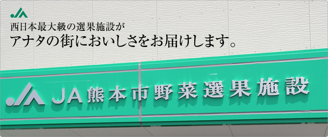JA熊本野菜選果施設について　西日本最大級の選果施設がアナタの街においしさをお届けします。
