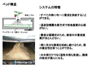 ⑤ハウス